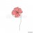 Blomma