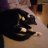 catlady
