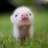 Sanne23
