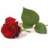 Blondine92