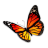 Pluispluis