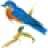 bluebird