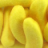 haribobanaan
