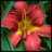Sylph