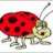 BabyLadybug