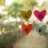 LovelyLott