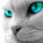 Cateye