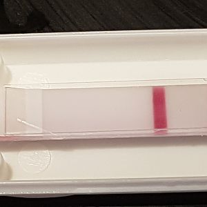 20170427_063235
