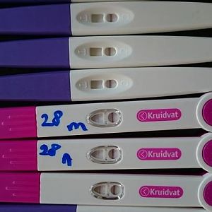 18191530_1446104485451033_668931948_n