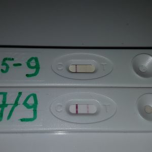 20170917_071420