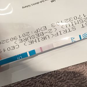 D11314E7-7CDA-4431-853C-D158E5641BBB