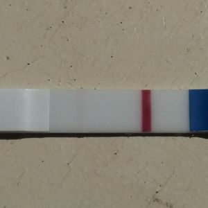 20180724_140853