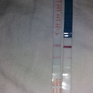 20190208_132316