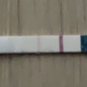 56723567-ED9E-4A1C-8537-C36B77BBE33C