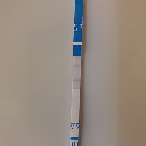 Ovulatietest