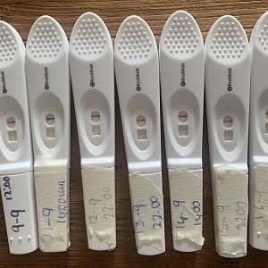 5235AFB5-EDEE-45ED-90C7-0FCC09A0E417
