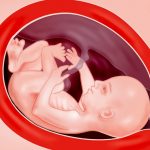 Zwangerschap week 28