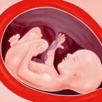 Zwangerschap week 29