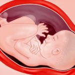 Zwangerschap week 37