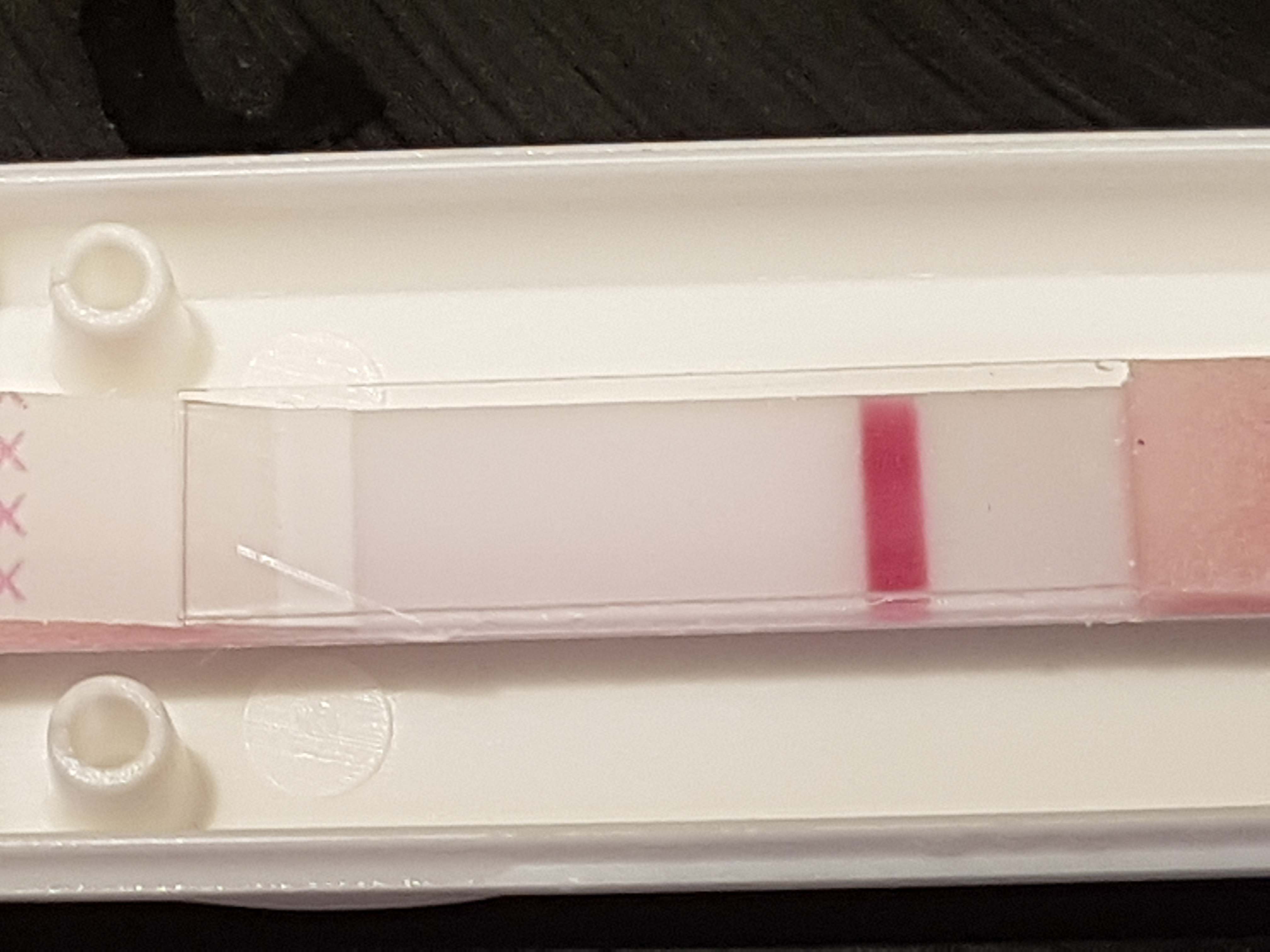 20170427_063235