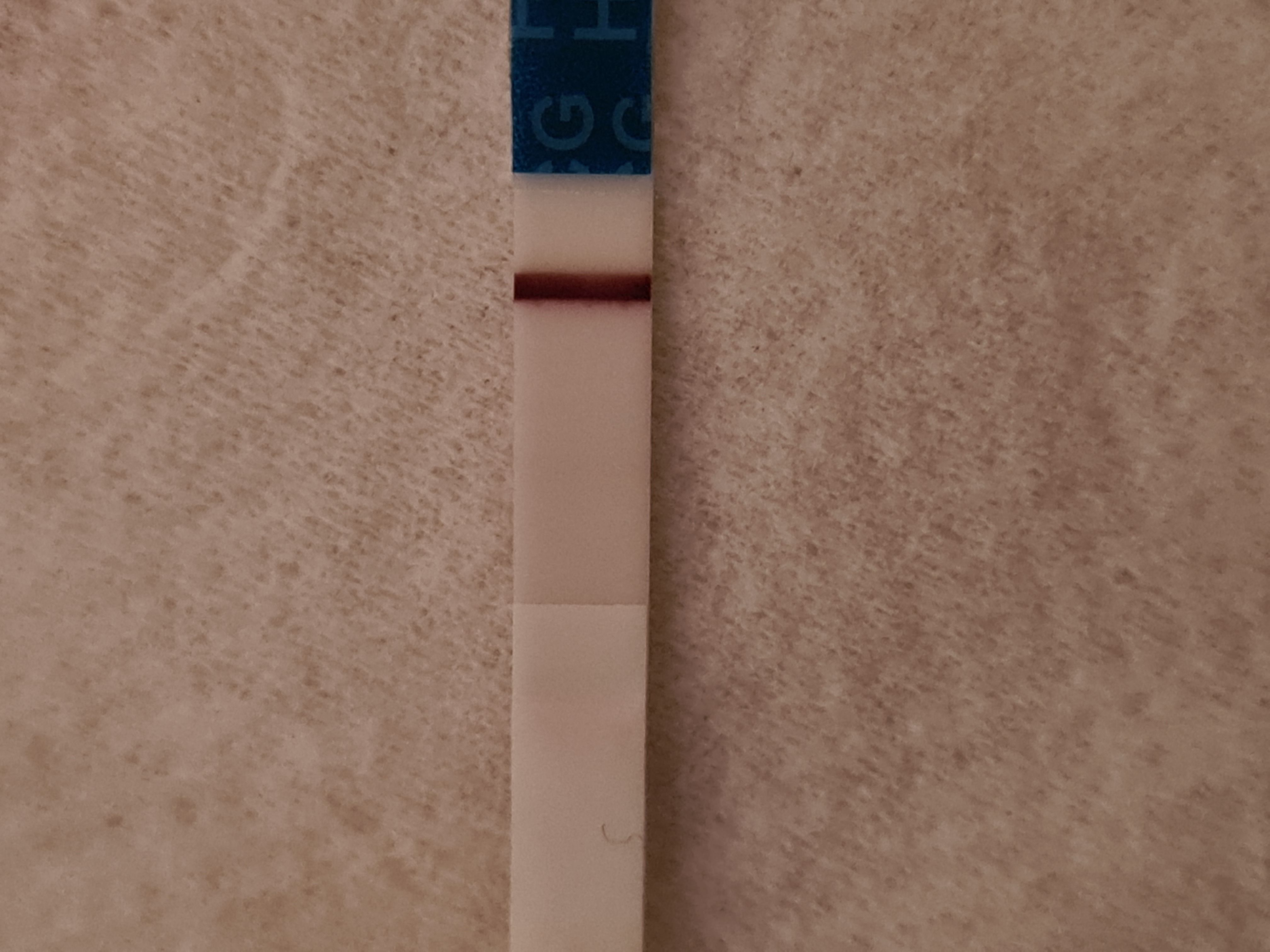 20230325_193857