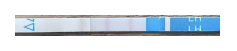 ECAAE383-295E-4DAC-92CF-CD4F01E1E62A